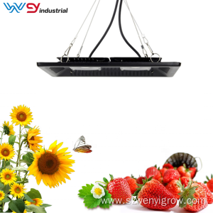 50W cob grow lights for indoor plants hydroponic